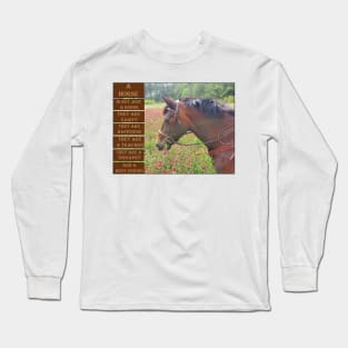 What is a Horse Long Sleeve T-Shirt